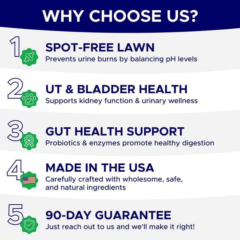 Green Grass Dog Chews for Lawn Protection – Dog Urine Neutralizer for Grass Burn Spots – Lawn Restore Treats – Made in USA – 120Ct Soft Chews