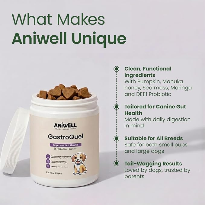 GastroQuel Dog Probiotic Chews – Gut Health, Occasional Diarrhea & Digestive Support | Probiotics for Dogs, Kaolin & Pectin | Yeast Infection Support & Anti Diarrhea for Dogs