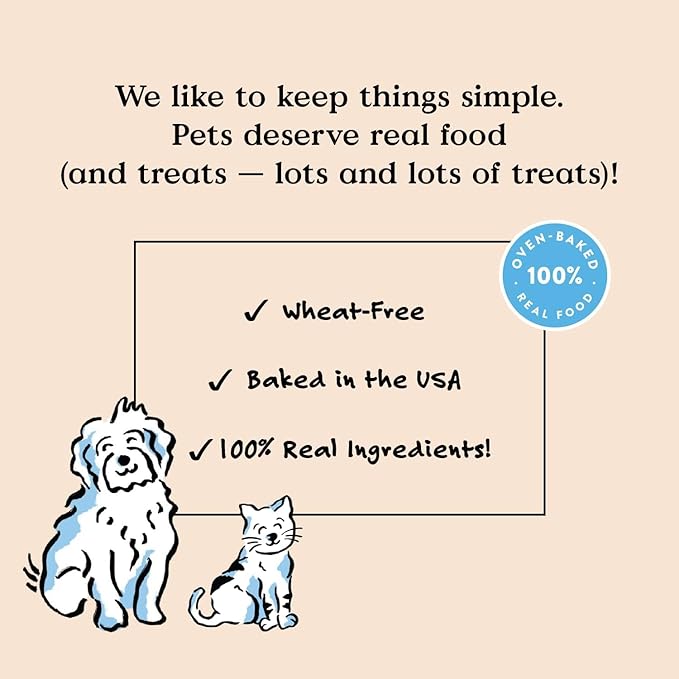 Bocce's Bakery Dental Brushy Sticks for Small Dogs – Natural, Wheat-Free Dental Bars to Support Oral Health & Fresh Breath, Made with Real Ingredients – Coconut & Mint Recipe (2 Pack Bundle)