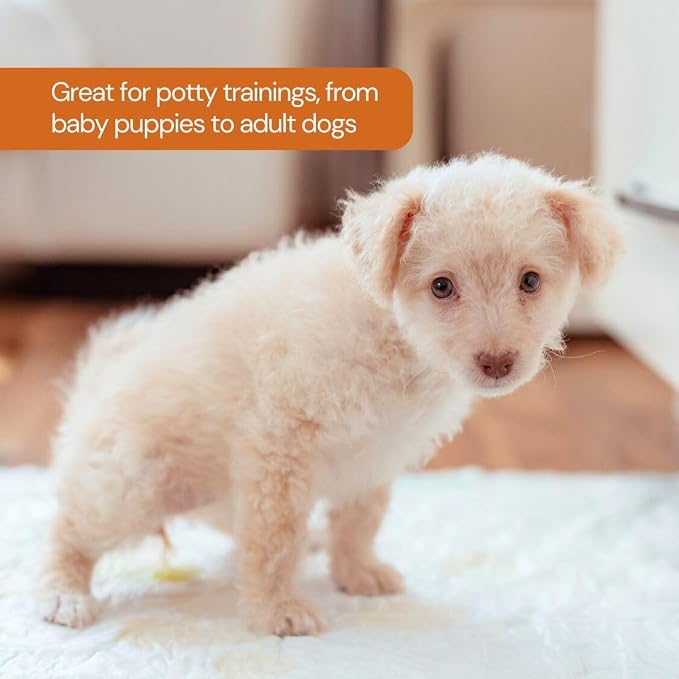 UltraCare Superabsorbent Leak Proof Odor Free Pet Friendly Puppy Pads, Best Potty-Training Disposable Pads, Gentle on Paws Pads XXL 100 XX Large 30x36 100 Count