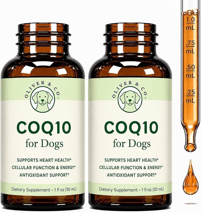 CoQ10 for Dogs - Coenzyme Q10 for Dogs - Heart, Joint & Cardiovascular Support - Dog Heart Supplements - Dog Hip & Joint Care - 1 fl oz (2 Pack)