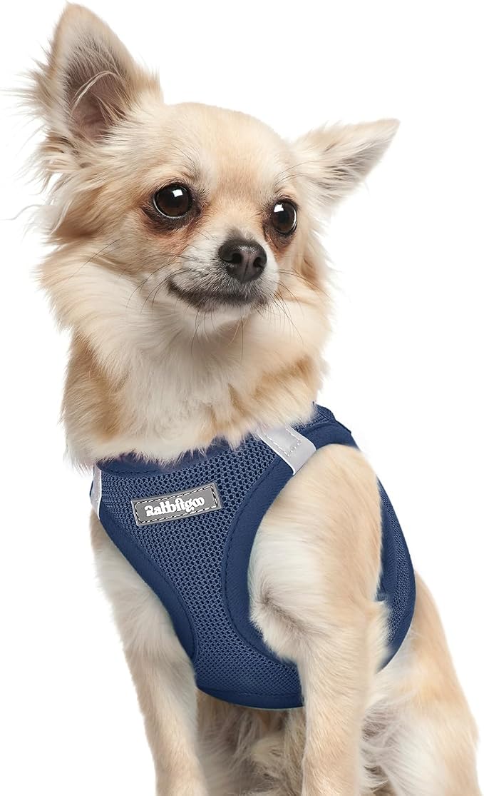 rabbitgoo Step-in Small Dog Harness, Puppy Vest for Small Sized Pet | Easy Put on and off, Lightweight, Soft, Breathable Quick-Dry Air Mesh for Comfortable Secure Walking, Navy Blue XXXS