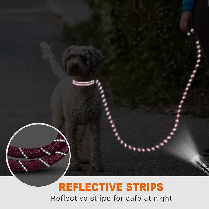 Taglory Rope Dog Leash for Small Medium Dogs, 5 FT Padded Handle, Hotpink | Made of Climbing Rope, Reflective for Night Walks and Training, Comfortable Grip, Anti-tangle Swivel Clip, 3/8 inch