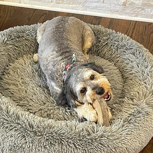 SPOT Dura-Fused Chunkies Ring Dog Toy, Natural Leather and Felt, Durable Chew Toy for Aggressive Chewers, No Squeak or Fluff, for Adult Dogs and Teething Puppies, 6 in