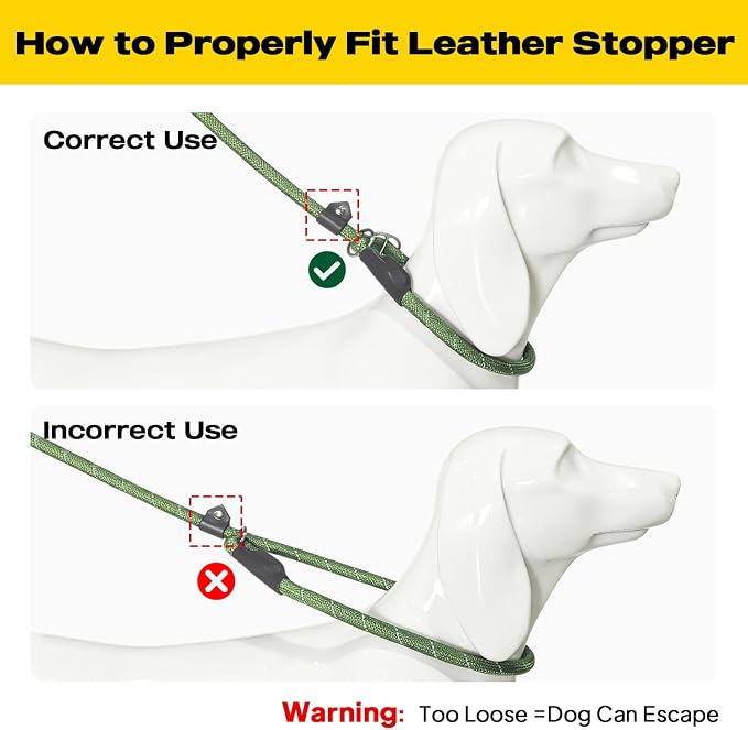 Fida Durable Slip Lead Dog Leash, 6 FT x 3/8" Heavy Duty Comfortable Strong Rope Slip Lead for Small Dogs and Puppies, No Pull Pet Training Leash with Highly Reflective(3/8", Green)