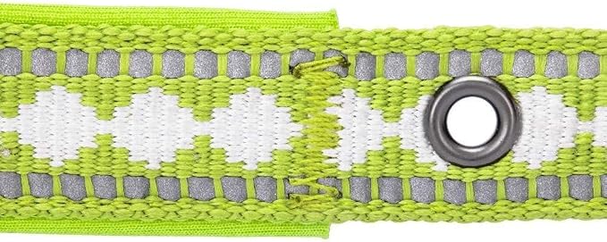 Blueberry Pet Reflective Jacquard Dog Collar with Neoprene Padding & Metal Buckle | Soft & Adjustable Safety Collar - Macaw Green, Neck 9-12.5", for Small Breed