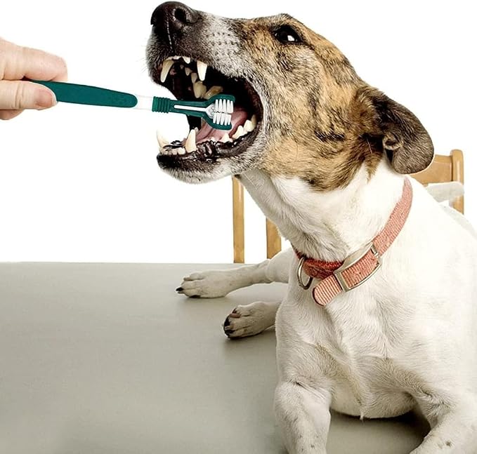 Green Dog Toothbrush, Triple Headed Toothbrush Dog Toothbrush for Pet, Pet Supplies