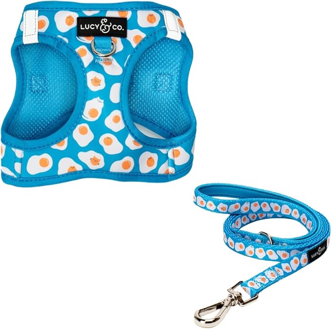 Lucy & Co. Eggcelent Step-in Cat Harness & Leash Bundle – Reflective, Breathable & Adjustable Harness for Cats, Kittens & Small Dogs, Lightweight & Secure and Dual Leash Clips – Medium