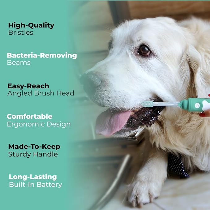 Electric Dog Toothbrush Small | Silent and Vibration-Free | Vet-Developed Electrolytic Technology | No Toothpaste Needed | Built-in Timer and App | Small Brush Head for Dogs Under 22 lbs