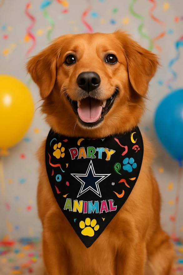NFL Dallas Cowboys Pet Birthday Bandana, NFL Dog Birthday Party Set and Costume, Licensed Dog & Cat Birthday Party Scarf, Football Team Pet Outfit, Puppy Accessory, Size Large/X-Large