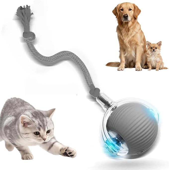 Interactive Cat Toys for Indoor Cats - Motion Activated Cat Balls with 360° - Kitten Toys to Relieve Boredom for Bored Kitten Pet Cats Dogs (Gray)