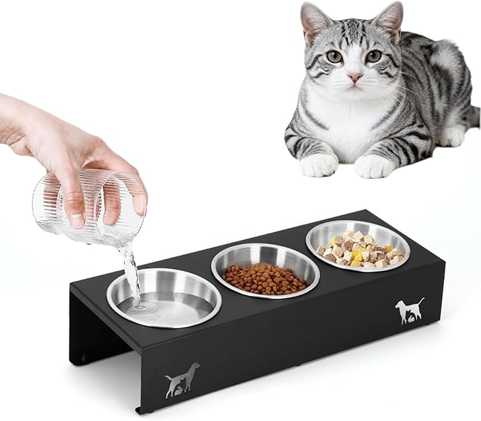 Elevated Cat Food Bowls - 15° Tilted Stainless Steel Cat Bowls, Anti Vomiting Raised Pet Feeder with Non-Slip Metal Base for Indoor Cats, 3 Bowl Set