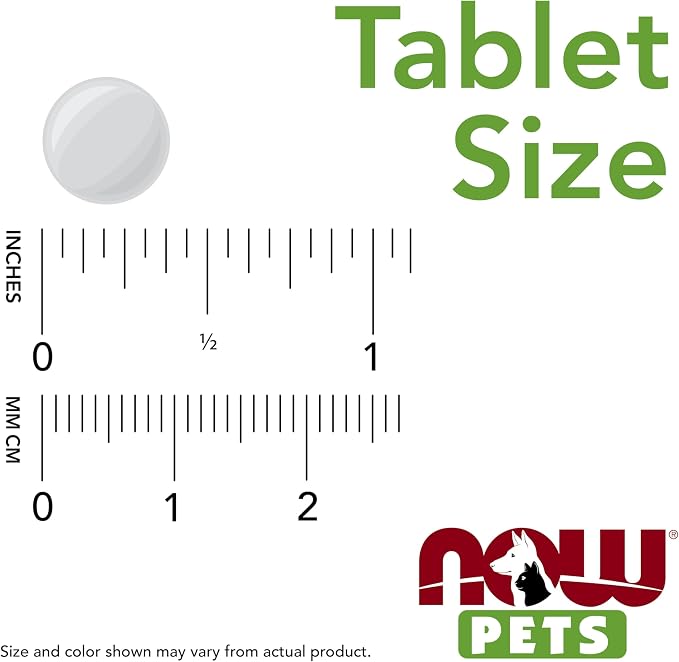 Now Pet Health, G.I. Support Supplement, Formulated for Cats & Dogs, NASC Certified, 90 Chewable Tablets (Pack of 12)