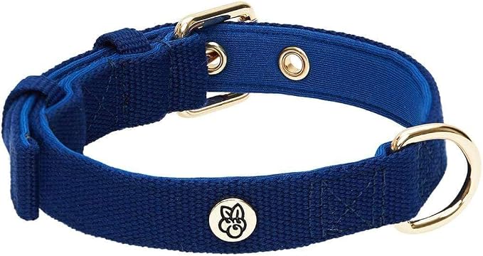 Blueberry Pet Classic Modern Iconic Matching Dog Collar and Rope Leash Set in Blue, Adjustable Neoprene Padded Collar with 4 ft Neoprene Handle Leash for Medium Dogs
