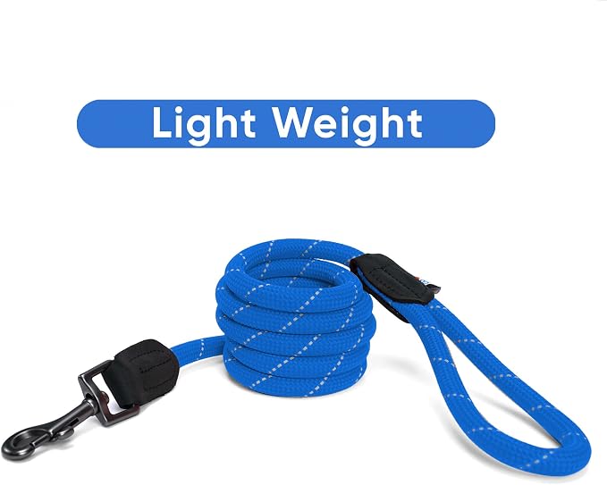Pawtitas Blue Rope Dog Leash, Medium/Large, 6 ft.