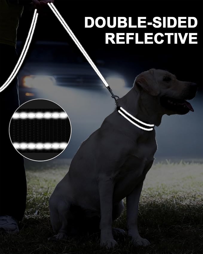 Taglory Reflective Dog Leash for Small Dogs, 3/4in x 4ft, Black | Ideal for Night Walking, Strong for Sudden Pulls, Lightweight & Gentle on the Neck, Soft Padded Handle