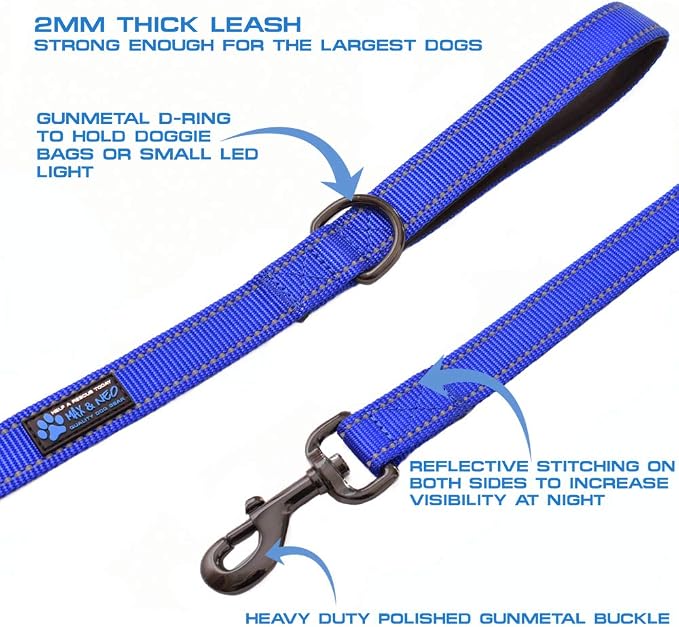 Max and Neo Double Handle Traffic Dog Leash - Reflective, Donates to Dog Rescue (Purple, 6 FT)