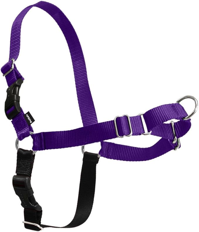PetSafe Easy Walk Harness for Dogs - Pull-Free Walks - Patented Martingale Loop Design - Front Chest Leash Attachment - Comfort Straps - Breathable Harness Design - Medium, Deep Purple/Black