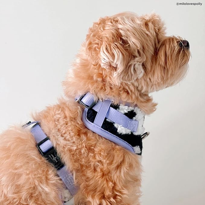 Lucy & Co. The Far Out No-Pull Dog Harness for Dogs – Comfortable Leash Training Product w/Adjustable Chest & Neck Straps - Black Purple Floral Teddy Fleece - X-Large