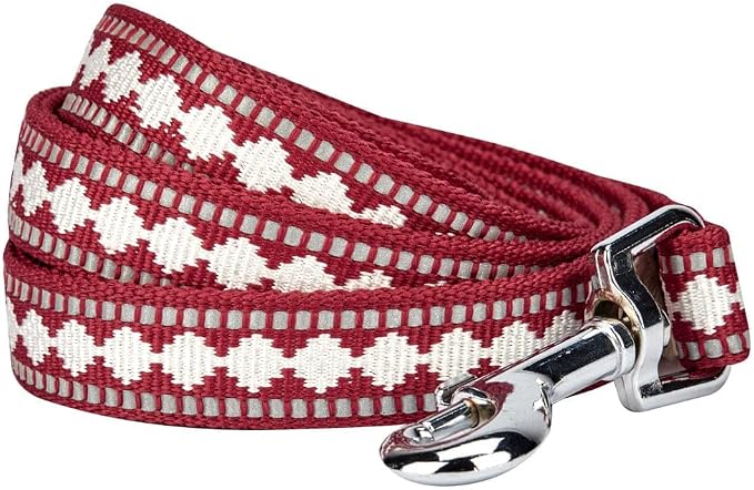 Blueberry Pet 3M Reflective Jacquard Dog Leash with Soft & Comfortable Handle, 5 ft x 5/8", Marsala Red, Small, Leashes for Dogs