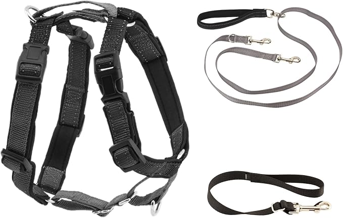 PetSafe Easy Walk 3 in 1 Harness with Two Point Control Leash, Medium, | Front & Back Leash Attachments Reduce Pulling, 5 Adjustment Points, Includes Car Control Strap, Reflective Nylon