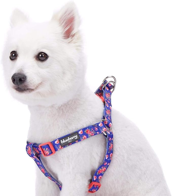 Blueberry Pet 9 Patterns Step-in Spring Scent Inspired Rose Print Irish Blue Dog Harness, Chest Girth 16.5" - 21.5", Small, Adjustable Harnesses for Dogs