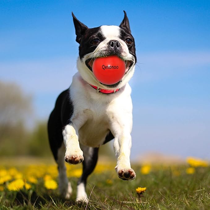 Dog Balls Indestructible, Solid Rubber Bouncy, Large Breed, Red