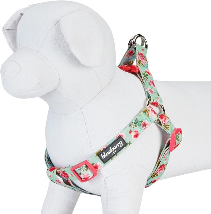 Blueberry Pet 9 Patterns Step-in Spring Scent Inspired Floral Rose Print Turquoise Dog Harness, Chest Girth 16.5" - 21.5", Small, Adjustable Harnesses for Dogs