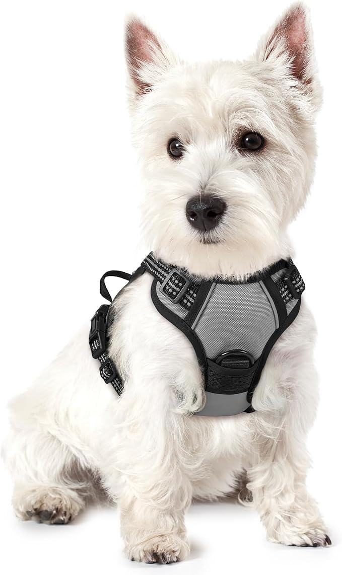 rabbitgoo Dog Harness No Pull with 2 Leash Clips, Adjustable Soft Padded, Reflective Oxford No Choke Pet Vest with Easy Control Handle for Puppy, Grey, XS | No Choke with Handle, Adjustable Soft Padded, Reflective, Easy Control for Walking, Gray, X-Small