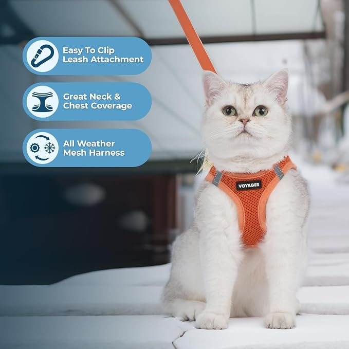 Voyager Step-in Pet Harness - All Weather Mesh, Adjustable Step in Harness for Cats and Dogs by Best Pet Supplies - 307S Orange, S