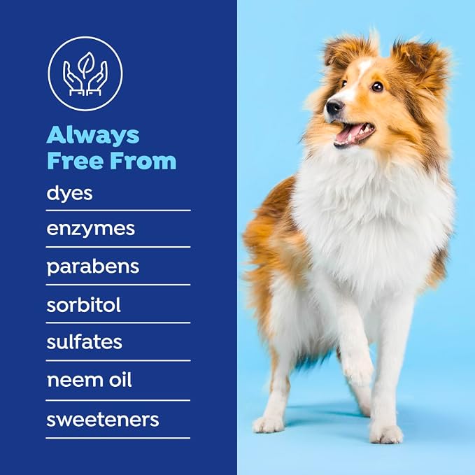 Naturel Promise Fresh Dental Water Additive for Dogs 2-Pack, 18oz Each — Dog Breath Freshener & Teeth Cleaning Solution, Better Value for Daily Use
