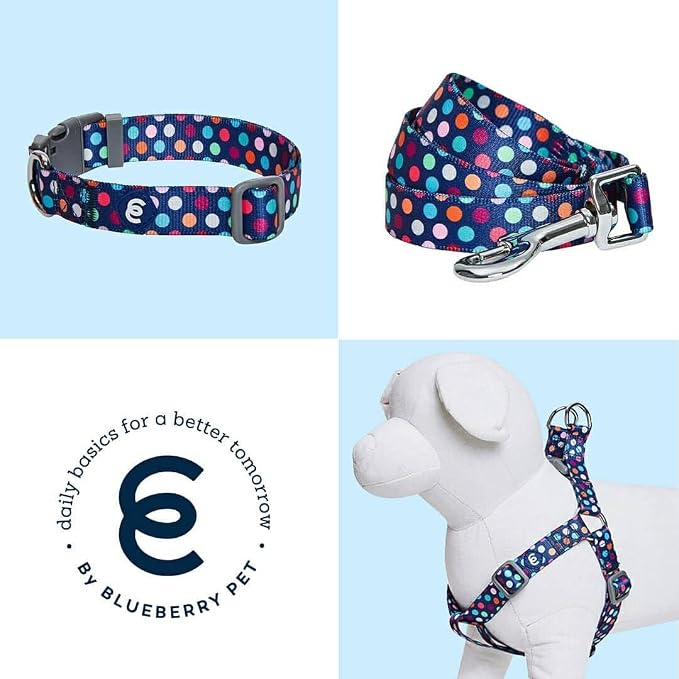 Blueberry Pet Valentine's Day Dog Leash, Velvety Soft-Touch Heart Flocking Lead for Large Dogs, Rainbow Polka Dots, 4 ft x 1"