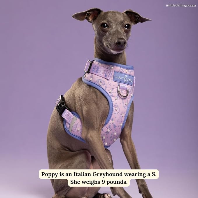 Lucy & Co. Magnificent Mermaids Pearl No-Pull Dog Harness, Adjustable Front Clip Harness with Comfort Padding, X-Large