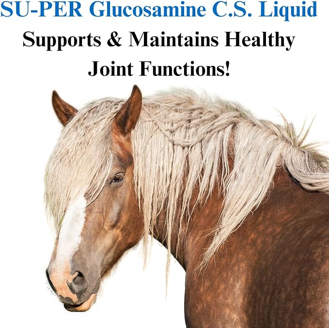 SU-PER Glucosamine C.S. Horse Joint Supplement - Supports Healthy Joints and Inflammatory Response in Horses - 1 Gallon, Liquid