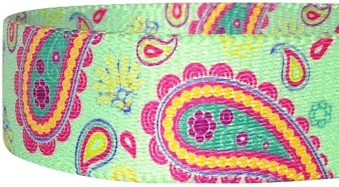 Blueberry Pet 5 Colors Paisley Flower Print Dog Leash with Soft & Comfortable Handle, 5 ft x 3/4", Emerald Green, Medium, Leashes for Dogs