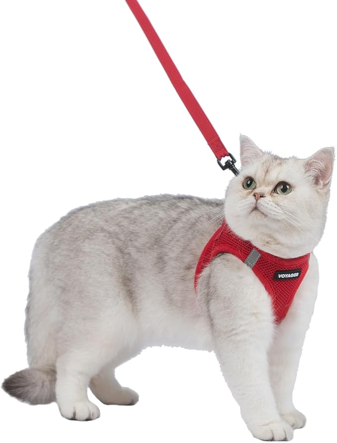 Voyager Step-in Pet Harness - All Weather Mesh, Adjustable Step in Harness for Cats and Dogs by Best Pet Supplies - 307S Red, S
