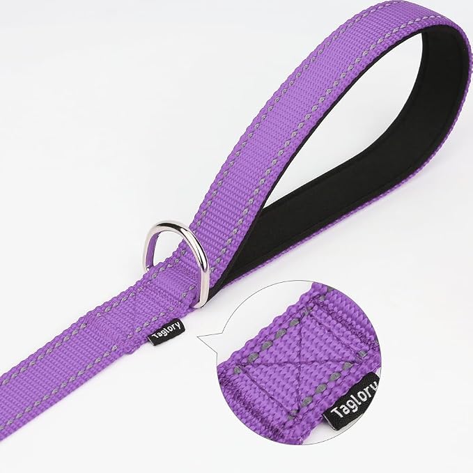 Taglory Reflective Dog Leash for Medium Large Dogs, 1in x 5ft, Purple | Ideal for Night Walking, Strong for Sudden Pulls, Lightweight & Gentle on the Neck, Soft Padded Handle