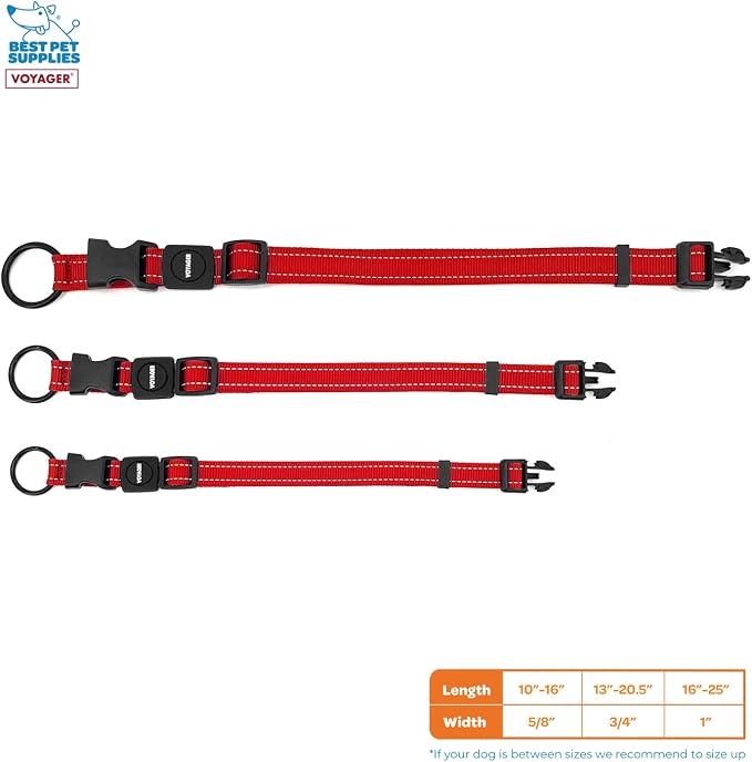 Best Pet Supplies Voyager Reflective Dog Leash or Collar with Neoprene Handle, for Small, Medium, and Large Breed Puppies, Cute and Heavy Duty for Walking, Running and Training - Red, L