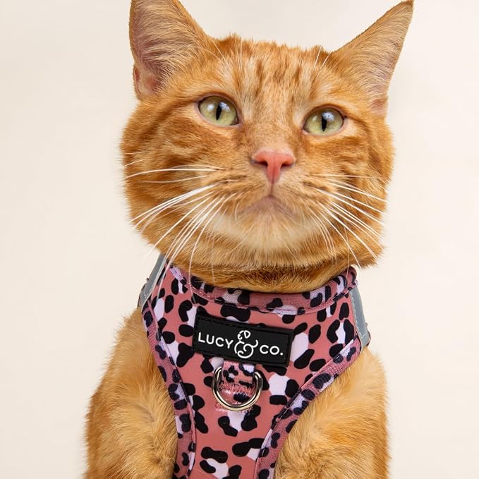 Lucy & Co. Wild Side Step-in Cat Harness & Leash Bundle – Reflective, Breathable & Adjustable Harness for Cats, Kittens & Small Dogs, Lightweight & Secure and Dual Leash Clips – Large
