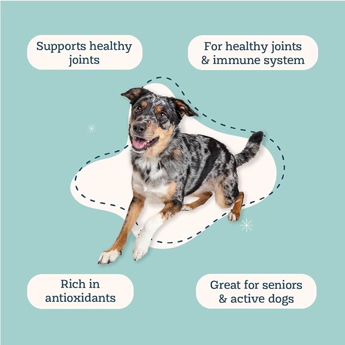 Alice & Eli Golden Groovin' - Turmeric for Dogs - Natural Immune & Joint Support for Dogs - with Organic Curcumin, MCT & Fenugreek - 30 Day Large Dog Supply
