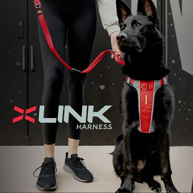 EzyDog X-Link Dog Harness, No Pull Design with Front D-Ring - X-Large Olive | Soft Padded Chest Panel, Adjustable, Fits Small or Large Dogs, Accessory Loop, 2 Leash Attachment Points, Reflective Trim,