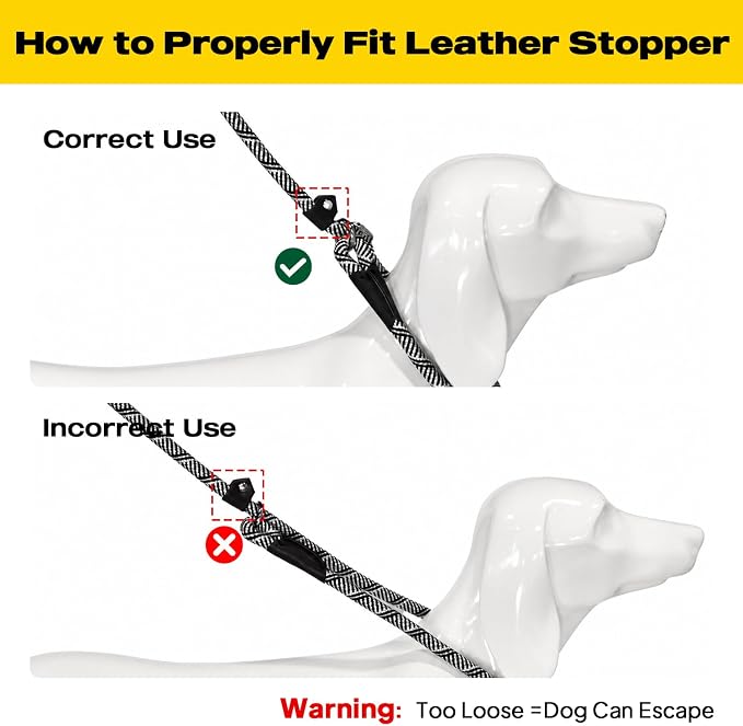 Fida Durable Slip Lead Dog Leash, 6 FT x 3/8" Heavy Duty Comfortable Strong Rope Slip Lead for Small Dogs and Puppies, No Pull Pet Training Leash with Highly Reflective(3/8", Grey)