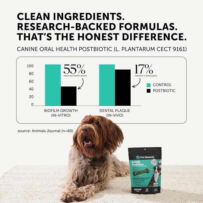 Pet Honesty Brush Buddies All Natural Dog Dental Treats for Dogs – Long Lasting Dental Sticks for Dogs, Teeth Cleaner, Breath Freshener, Plaque & Tartar Remover – Extra Small Dogs (40 Count)