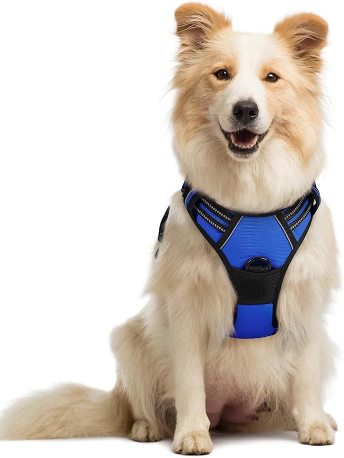 rabbitgoo Dog Harness, No Pull Medium Sized with 2 Leash Clips, Pet Vest | No Choke with Handle, Adjustable Soft Padded, Reflective, Easy Control for Walking, Dazzling Blue, Medium