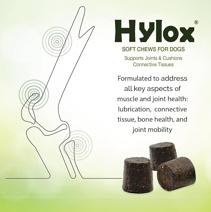 Hylox Soft Chews for Dogs – Joint Support with Glucosamine, MSM, Creatine, Hyaluronic Acid, Turmeric, EPA & DHA – Supports Joints & Cushions Connective Tissues – NASC Certified – 120 Soft Chews
