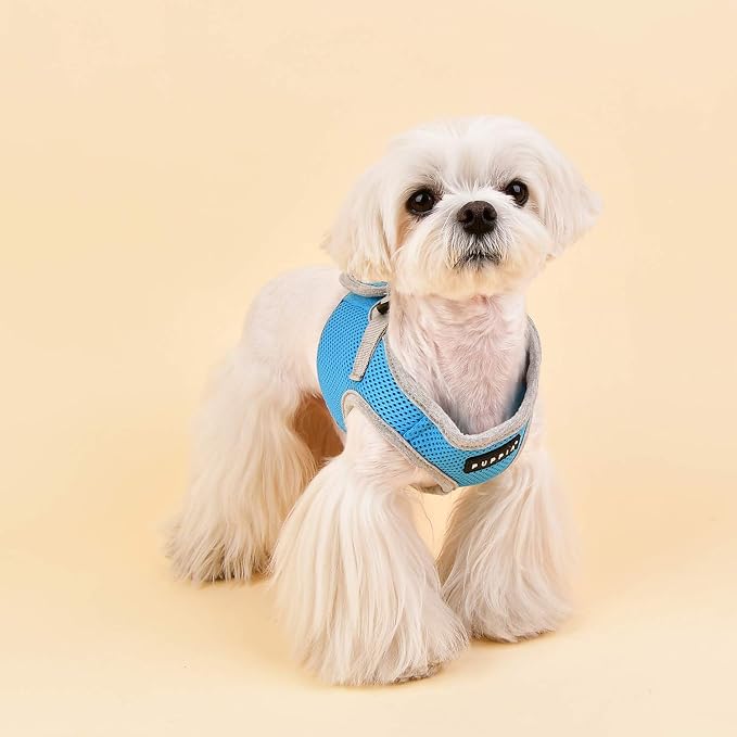 Puppia Soft Vest Harness B II - Sky Blue - L