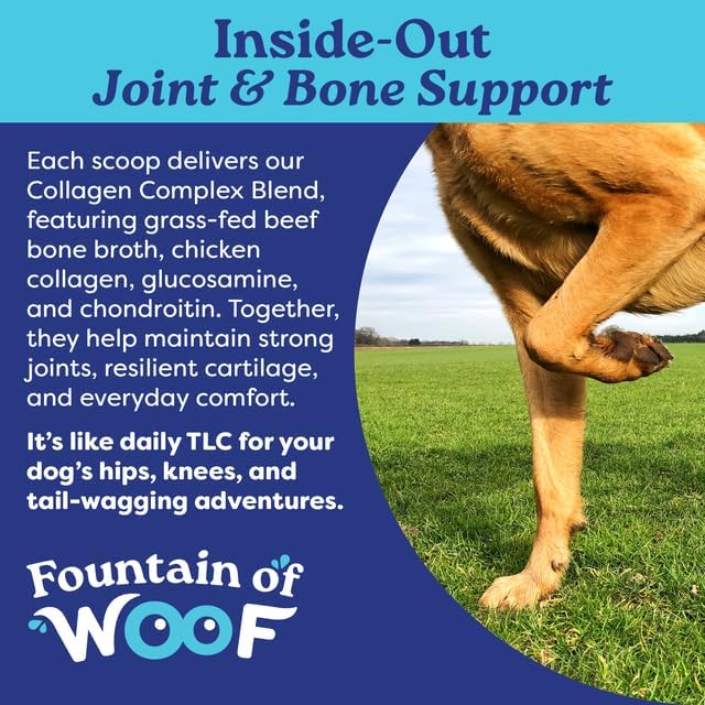 Hip & Joint Dog Food Topper – Beef Bone Broth Collagen Powder for Dogs – Mobility & Joint Support with Glucosamine – Skin & Coat Health – 60 Servings | Fountain of Woof