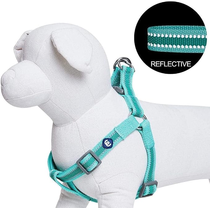 Blueberry Pet Essentials Step-in Reflective Back to Basics Dog Harness, Minty Green, Chest Girth 26" - 39", Large, Adjustable Harnesses for Dogs