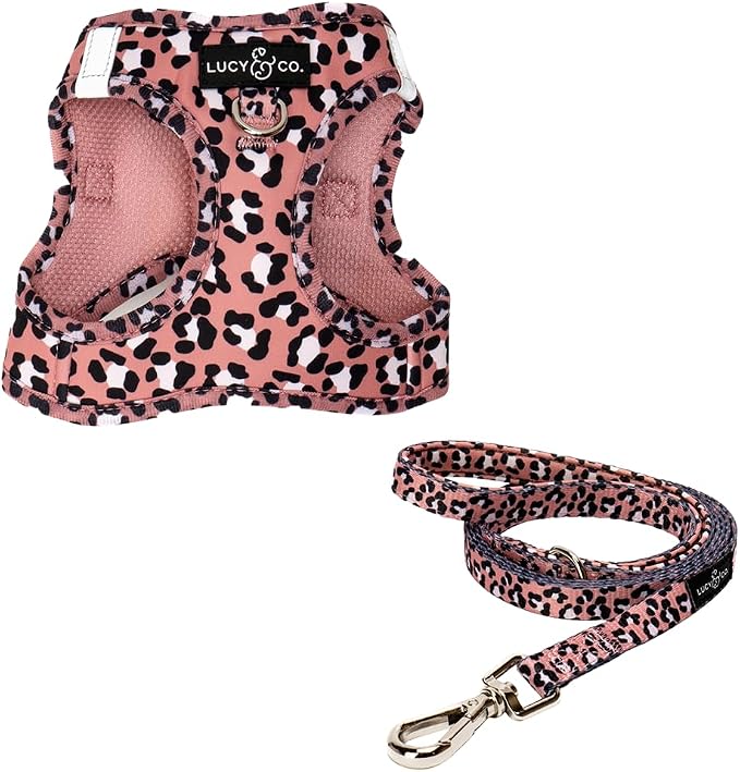 Lucy & Co. Wild Side Step-in Cat Harness & Leash Bundle – Reflective, Breathable & Adjustable Harness for Cats, Kittens & Small Dogs, Lightweight & Secure and Dual Leash Clips – Large