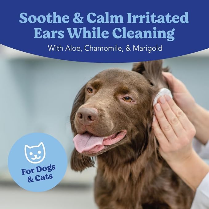 ANGELS' EYES Ear Cleansing Wipes for Dogs & Cats, 100ct